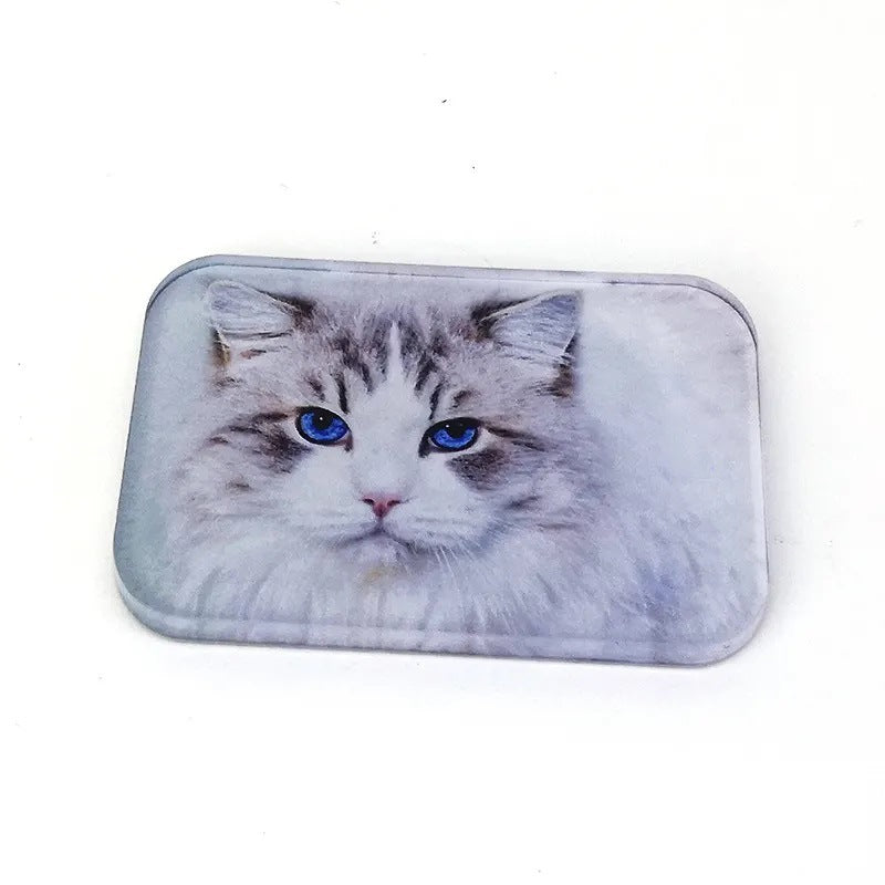 Imán acrílico para nevera con sublimación | Imán para nevera en blanco con transferencia térmica | Decoración fotográfica magnética suave DIY