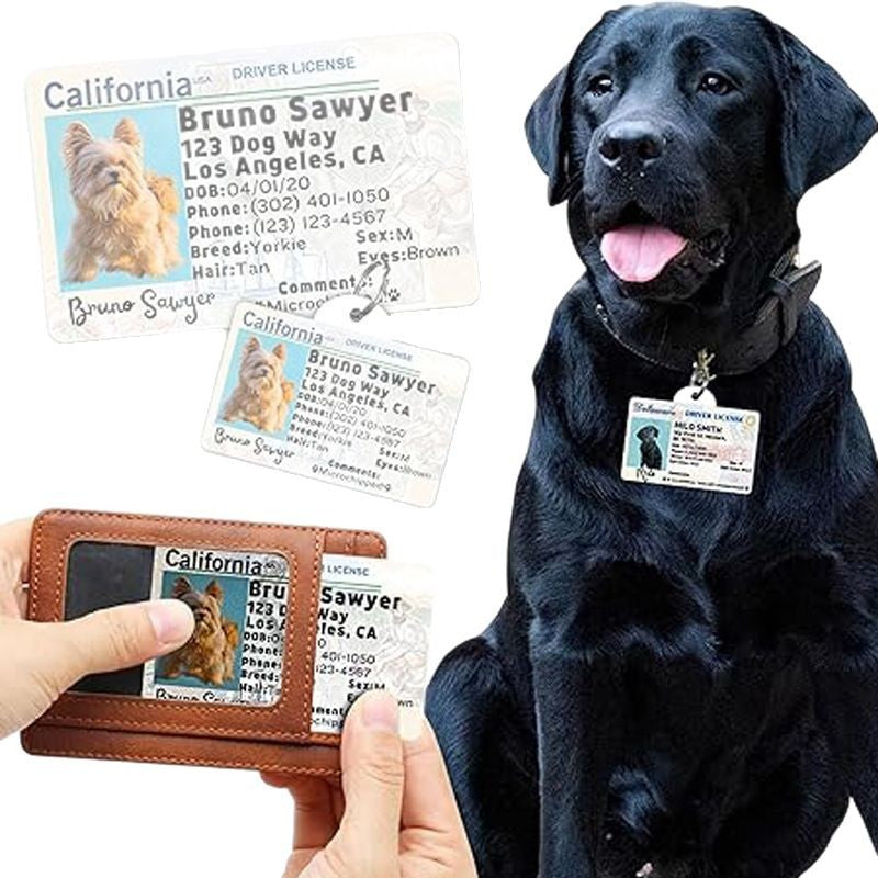 DTY Sublimation MDF Pet Tag | Blank Heat Transfer Dog Tag for Pets | White 5.5×8.6cm & 2.8×4.3cm | Customizable